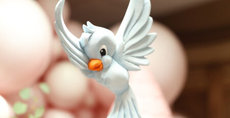 Dekoracija za Prvi Rođendan - Pepeljuga