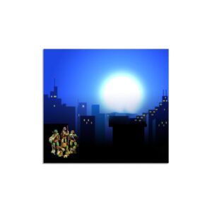 Podmetač Nindža Kornjače - Slika 1